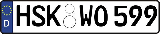 HSK-WO599