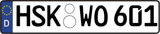 HSK-WO601
