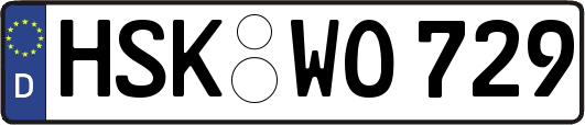 HSK-WO729