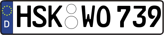 HSK-WO739