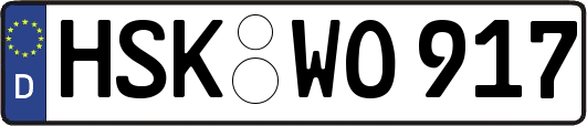 HSK-WO917