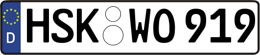 HSK-WO919