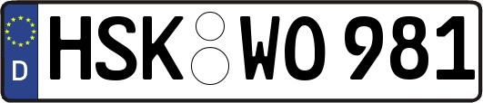HSK-WO981