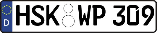 HSK-WP309
