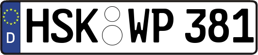 HSK-WP381