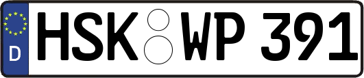 HSK-WP391