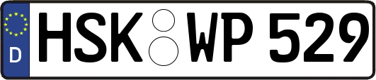 HSK-WP529