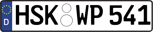HSK-WP541