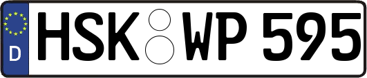 HSK-WP595