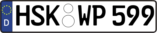 HSK-WP599