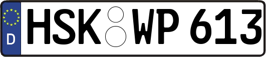 HSK-WP613