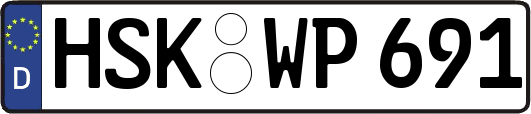 HSK-WP691