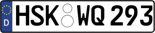 HSK-WQ293