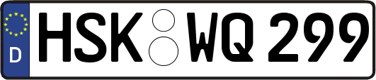 HSK-WQ299