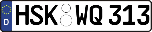 HSK-WQ313