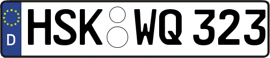 HSK-WQ323