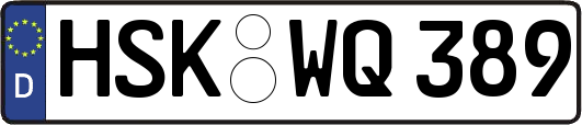 HSK-WQ389