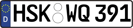 HSK-WQ391