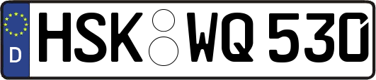 HSK-WQ530
