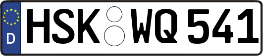 HSK-WQ541