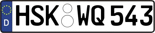 HSK-WQ543