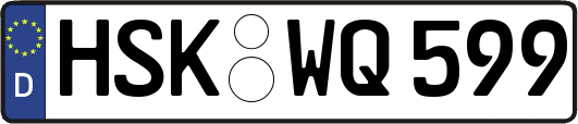 HSK-WQ599
