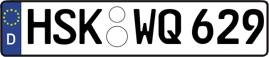 HSK-WQ629