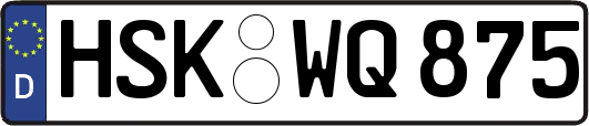 HSK-WQ875
