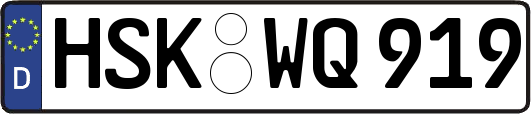 HSK-WQ919