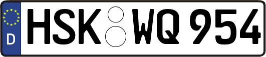 HSK-WQ954