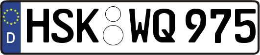 HSK-WQ975