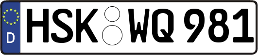 HSK-WQ981
