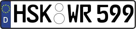 HSK-WR599