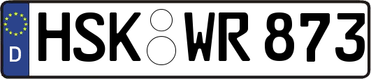 HSK-WR873