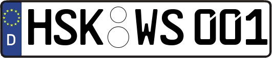 HSK-WS001