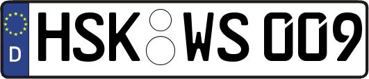 HSK-WS009