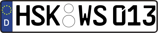 HSK-WS013