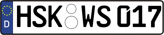 HSK-WS017