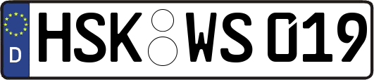 HSK-WS019