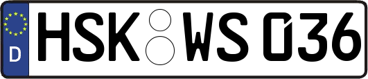 HSK-WS036