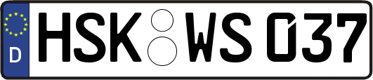 HSK-WS037