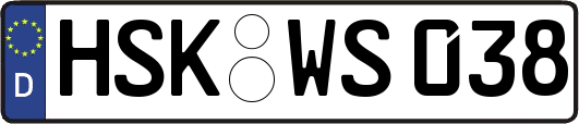 HSK-WS038