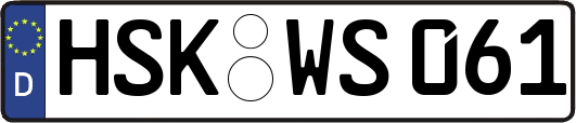 HSK-WS061