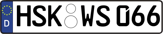 HSK-WS066