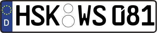 HSK-WS081