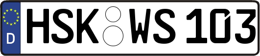 HSK-WS103