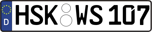 HSK-WS107