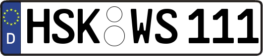 HSK-WS111