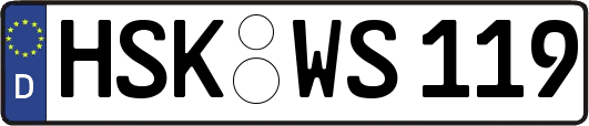 HSK-WS119