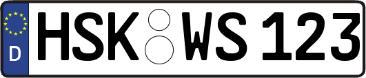 HSK-WS123